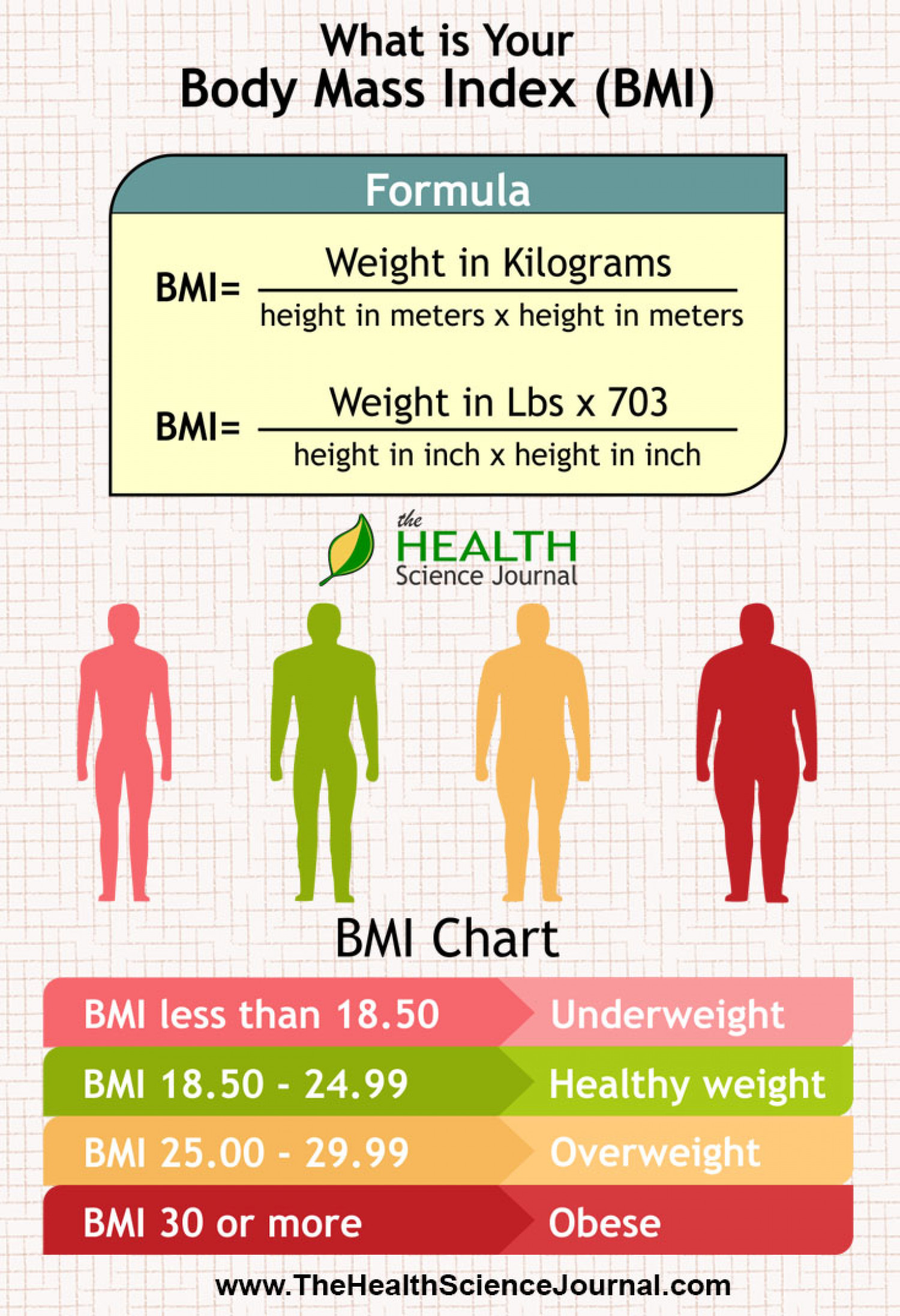 Body-Mass-Index
