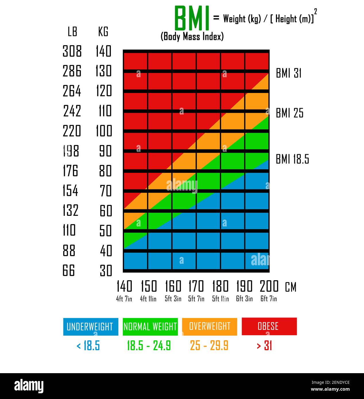 Gesundes Bmi-Diagramm