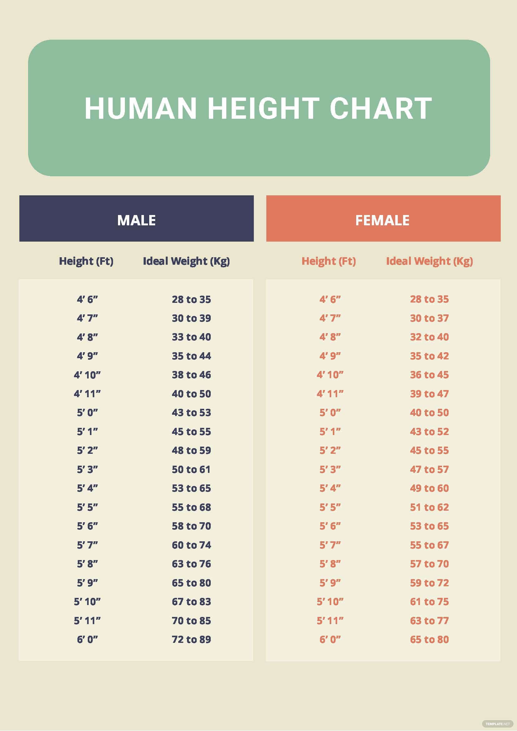 Diagramm der menschlichen Körpergröße