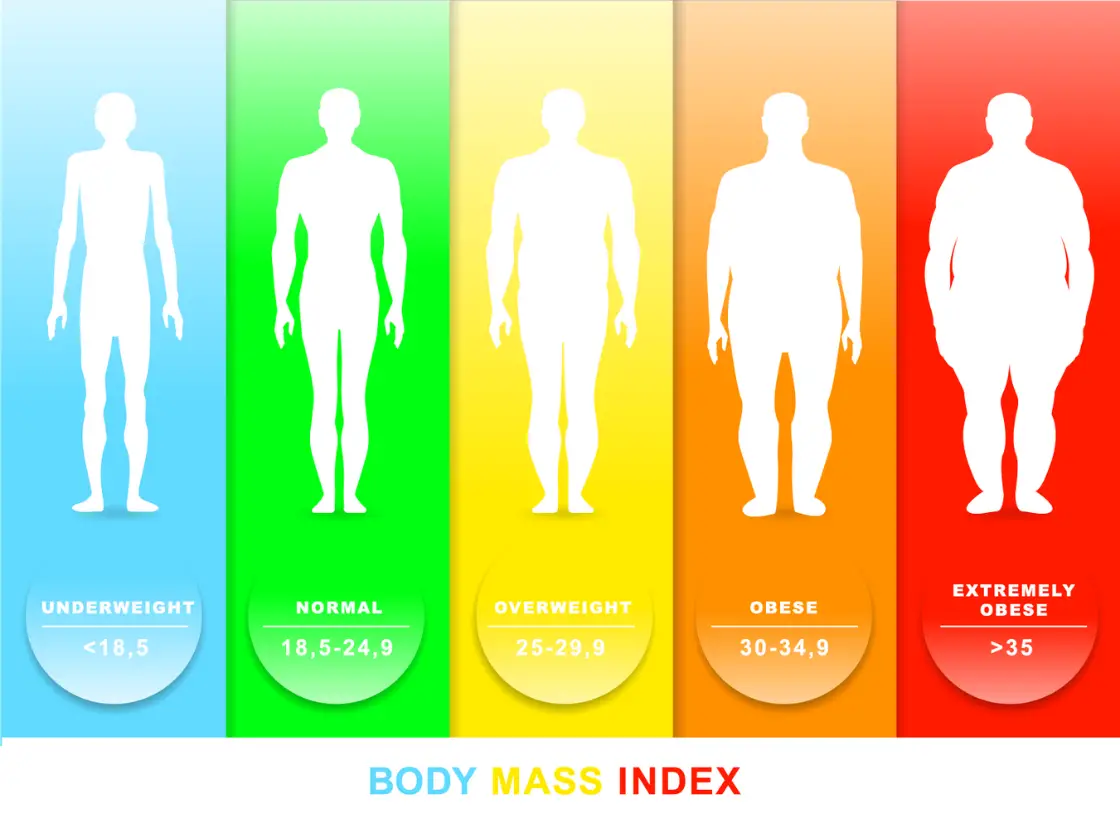 Ist 24 Bmi gut