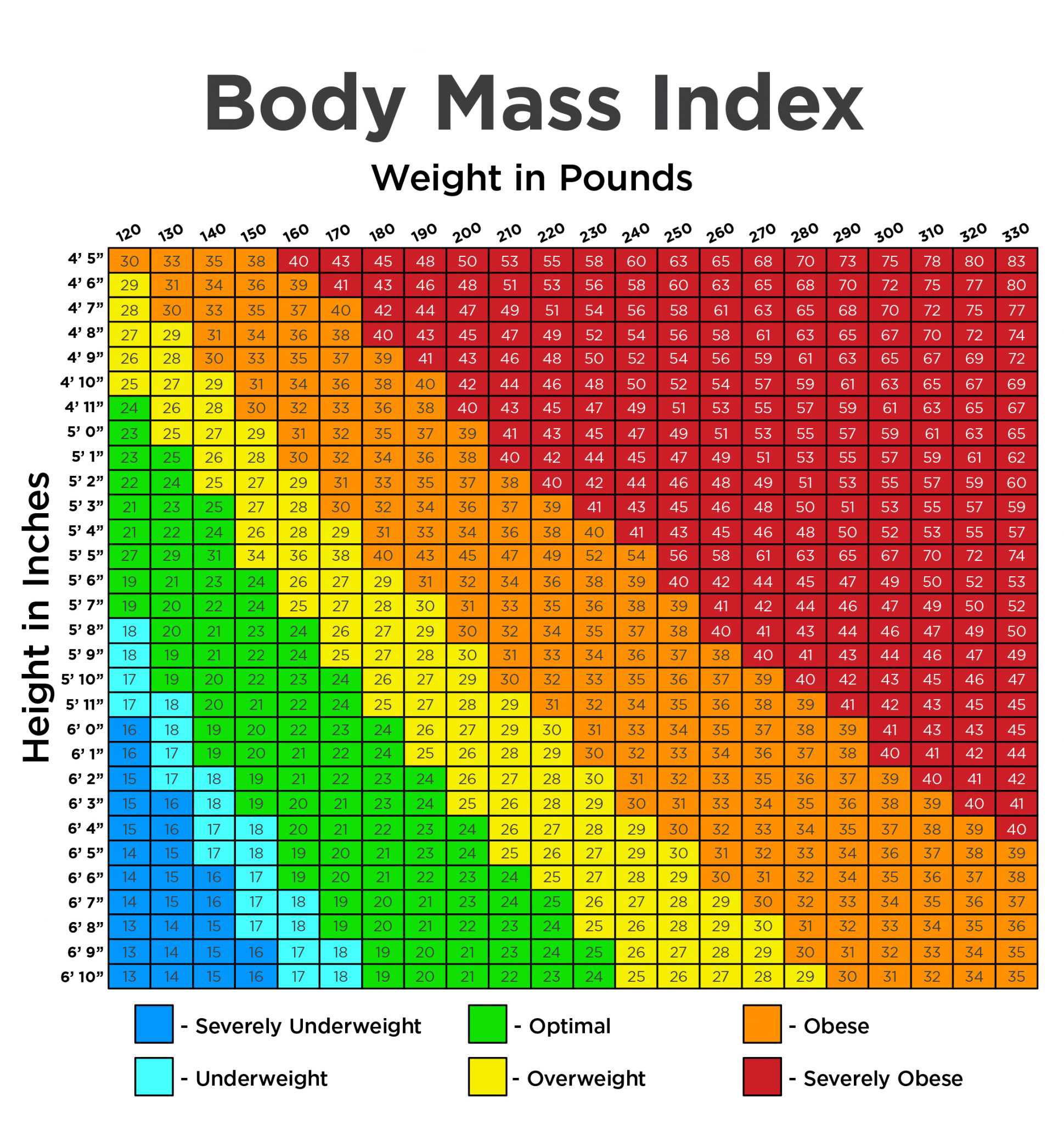 Normaler Body-Mass-Index-Bereich