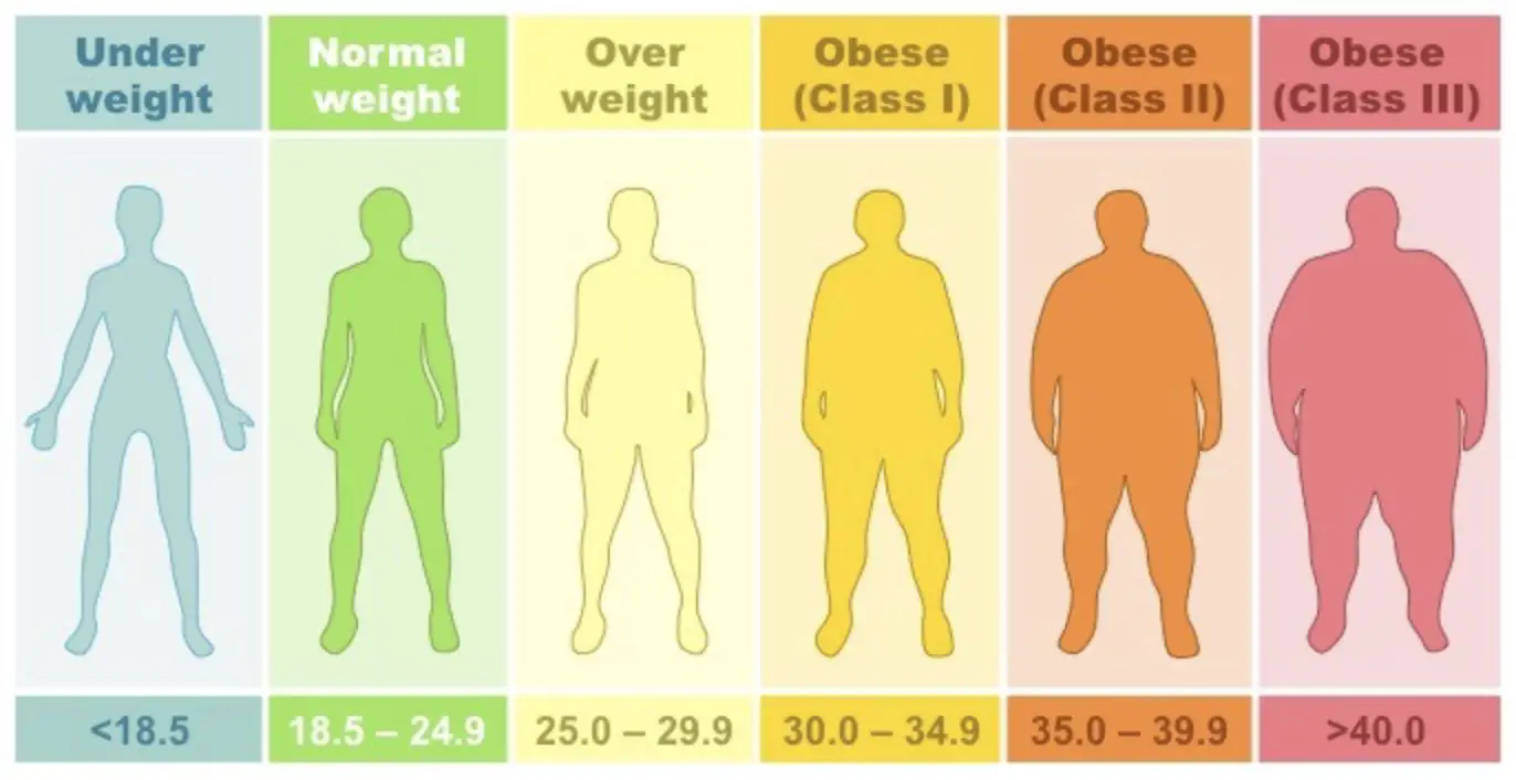 Normaler Body-Mass-Index